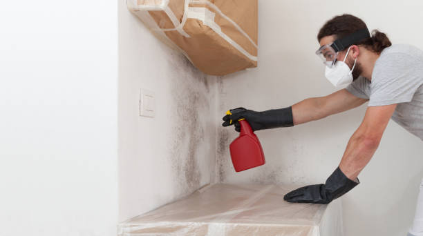 Professional Mold Remediation technician working in Montvale, NJ