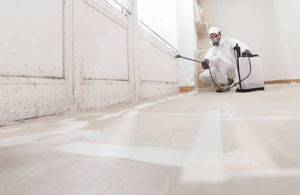 24/7 Emergency Mold Remediation experts in Montvale, NJ