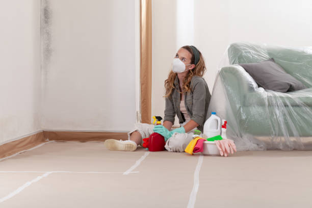 Reliable Mold Remediation contractor in Montvale, NJ by WQB Mold Removal